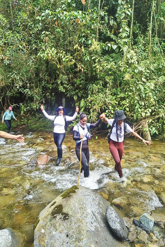 Caminantes disfrutando de una cascada natural y una piscina de agua cristalina en medio del bosque durante una caminata ecológica en Risaralda.
