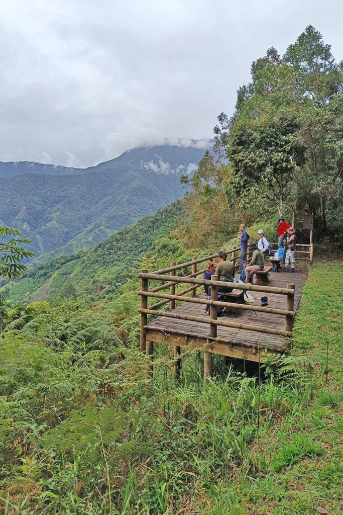 Grupo de senderistas descansando en un mirador de madera con vista panorámica a las montañas de la Cordillera Central en Risaralda.